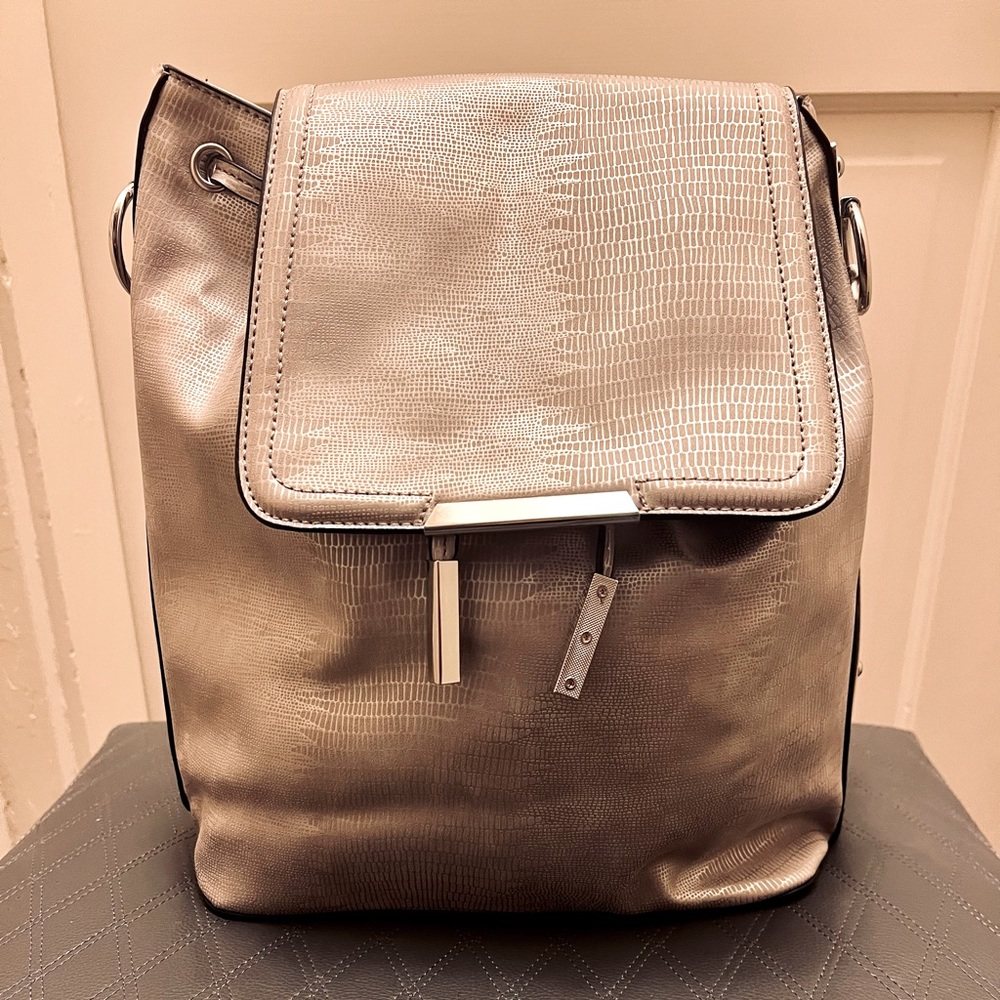 NWOT Aldo chrome silver back pack